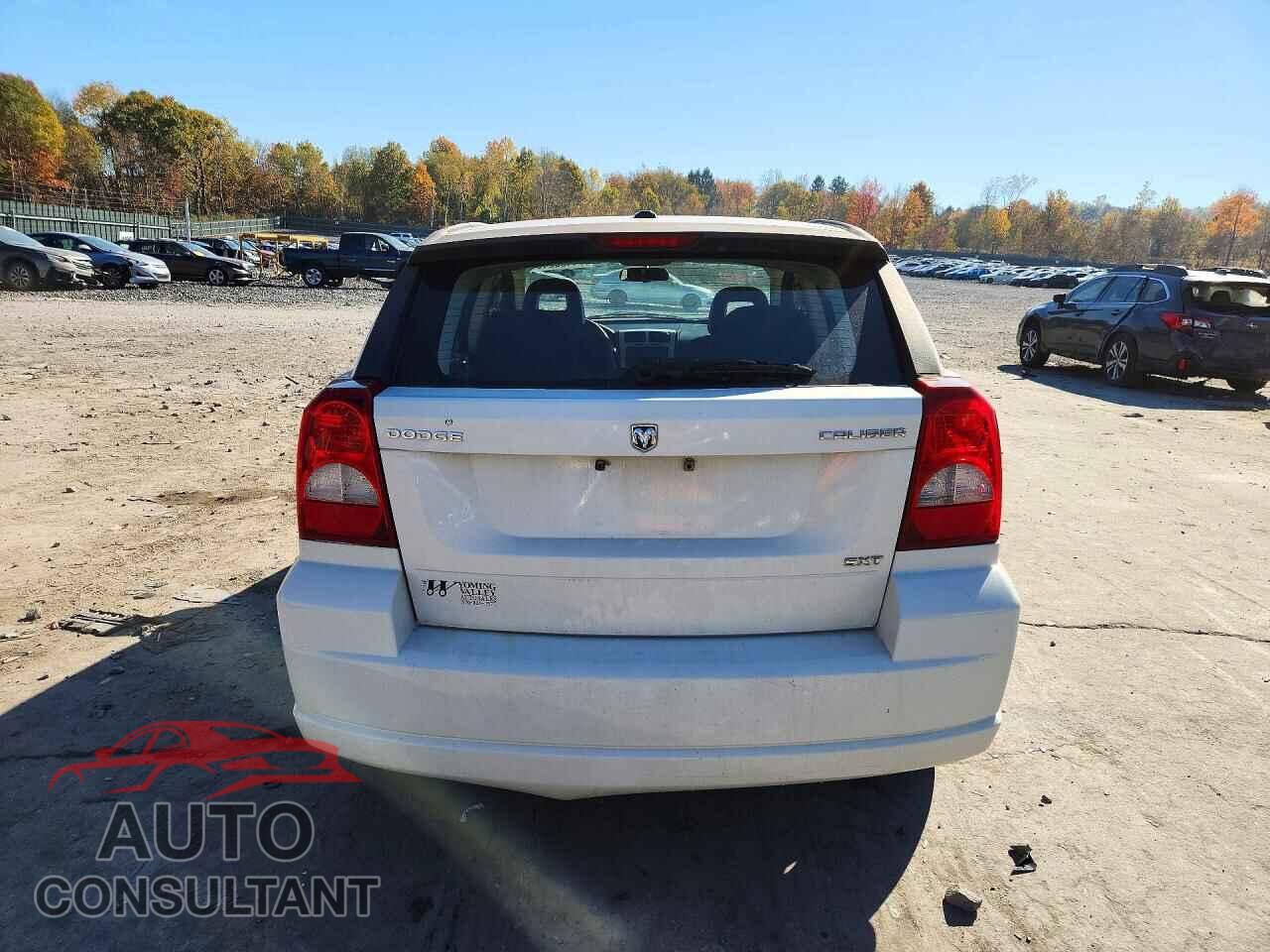 DODGE CALIBER 2009 - 1B3HB48A89D103207