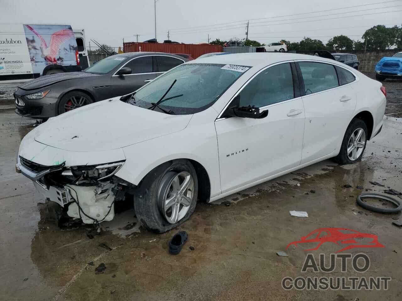 CHEVROLET MALIBU 2019 - 1G1ZB5ST2KF228354