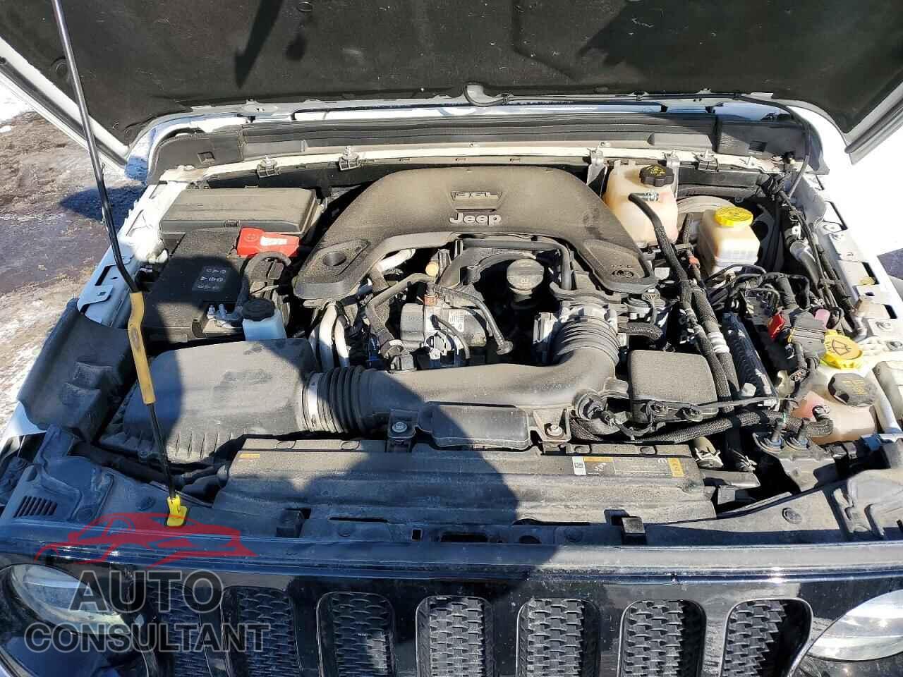 JEEP WRANGLER 2021 - 1C4HJXAG5MW753661