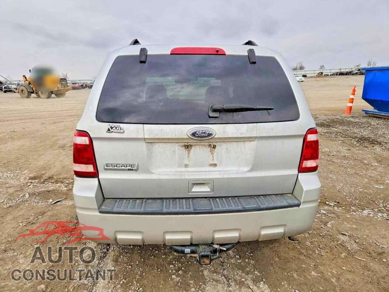 FORD ESCAPE 2010 - 1FMCU0D75AKA33196