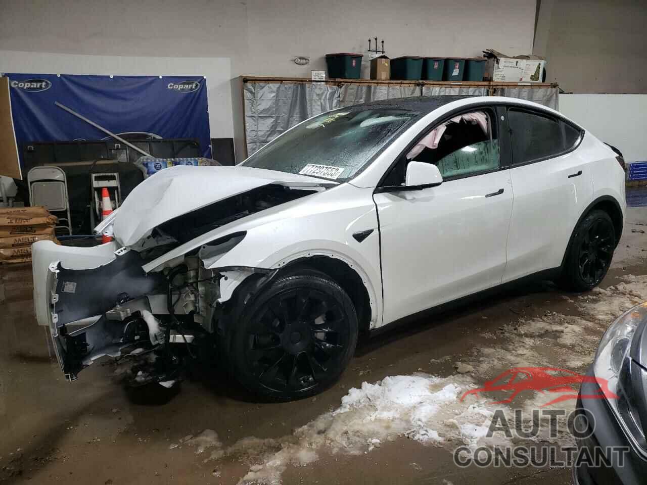 TESLA MODEL Y 2023 - 7SAYGAEE8PF707421