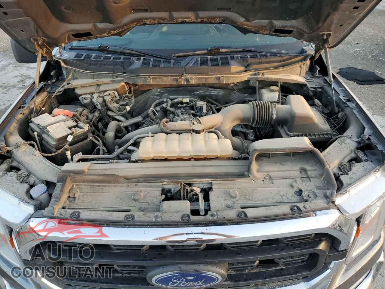 FORD F-150 2021 - 1FTEW1EP2MFA63281