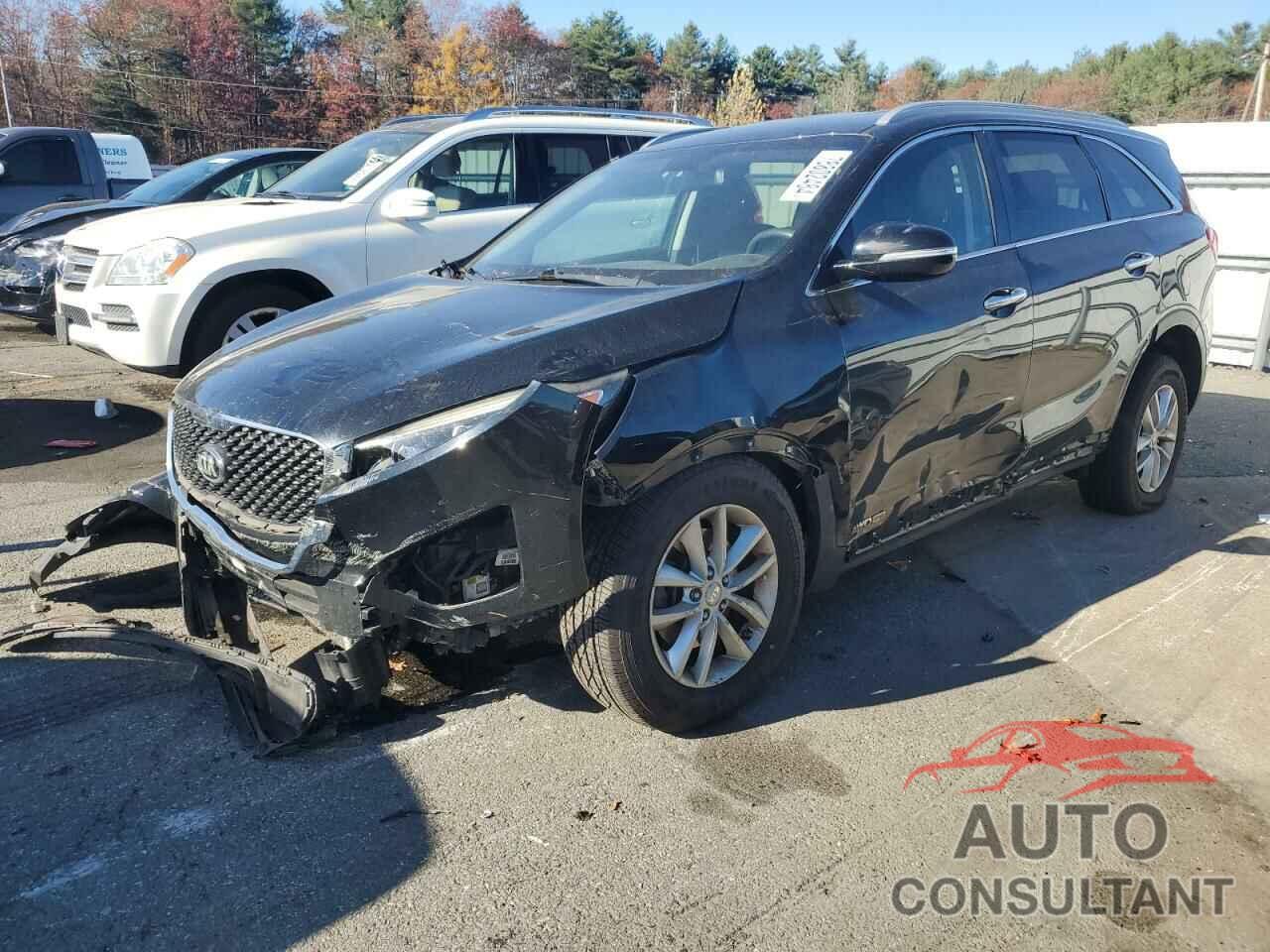 KIA SORENTO 2017 - 5XYPGDA53HG202199