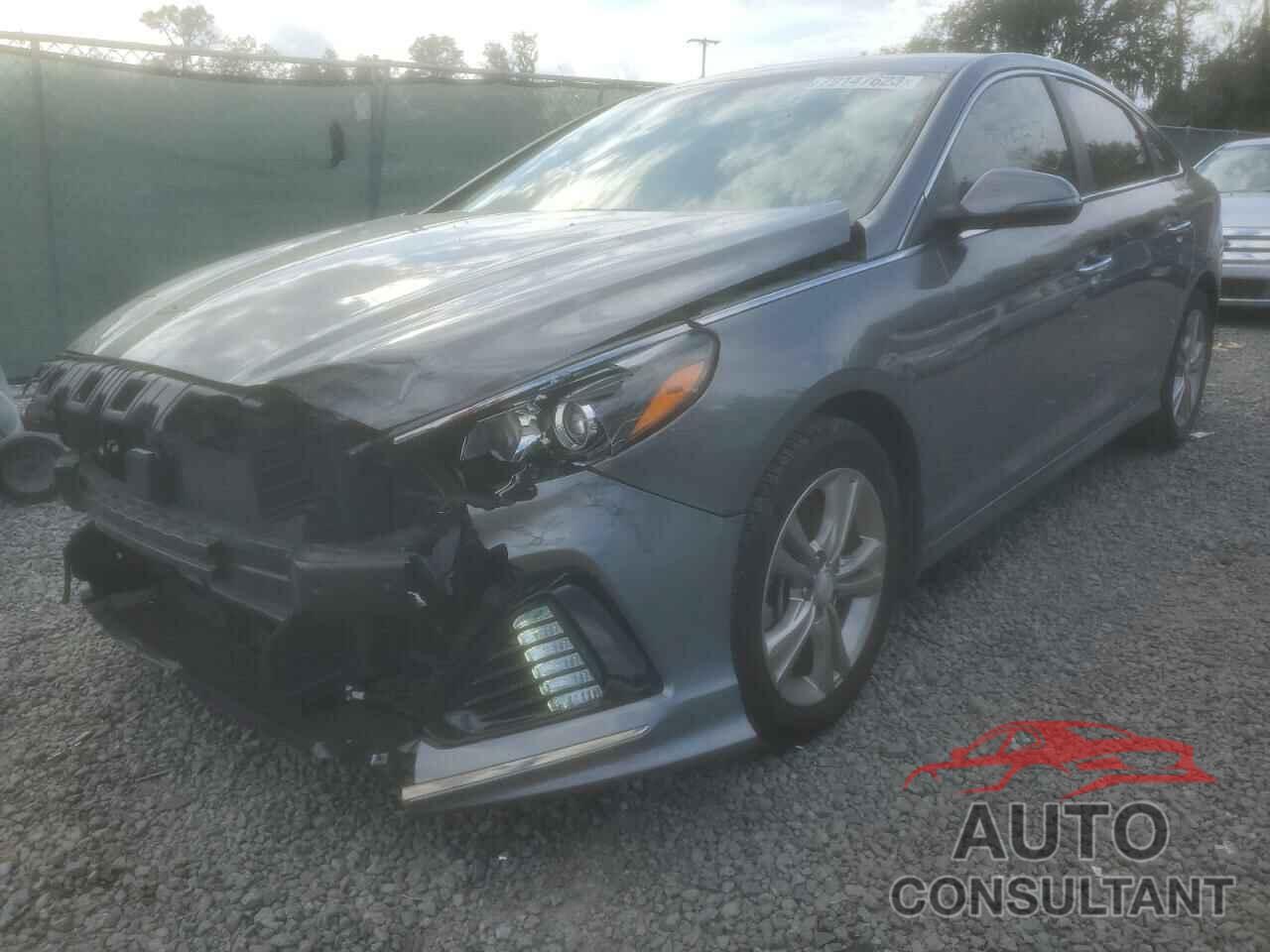 HYUNDAI SONATA 2019 - 5NPE34AFXKH816761