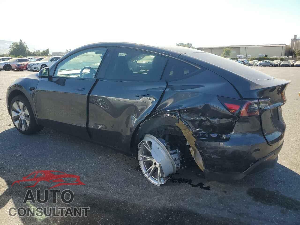 TESLA MODEL Y 2024 - 7SAYGDEE7RF032021