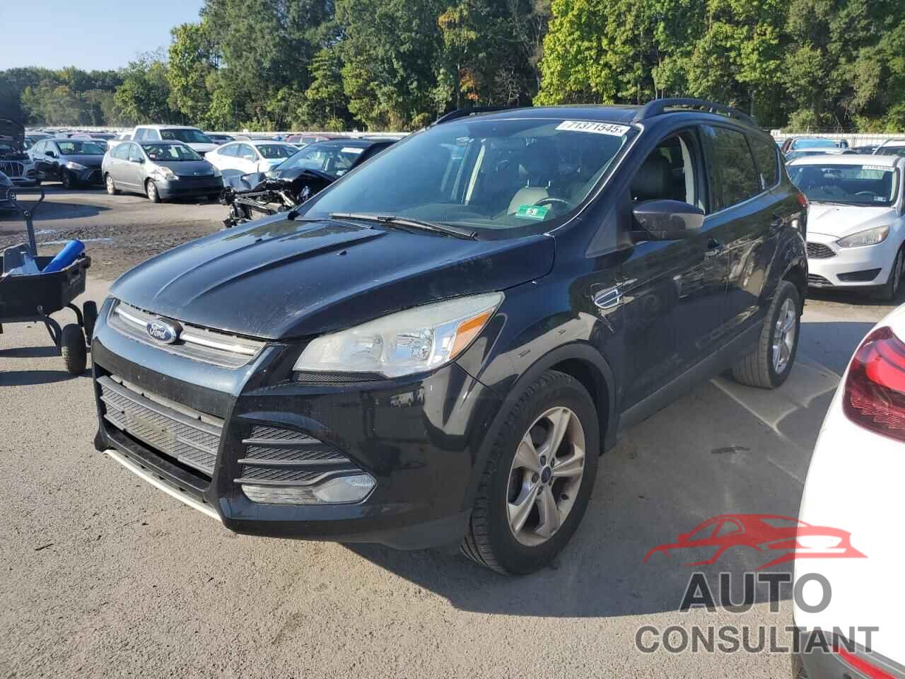 FORD ESCAPE 2014 - 1FMCU0GX1EUE32810