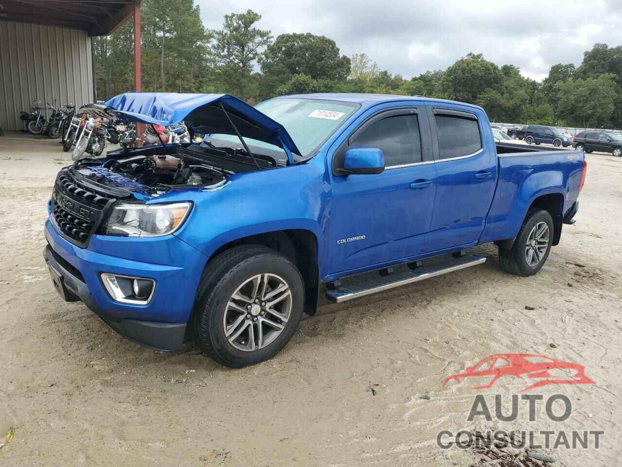 CHEVROLET COLORADO 2019 - 1GCGTCEN9K1272930