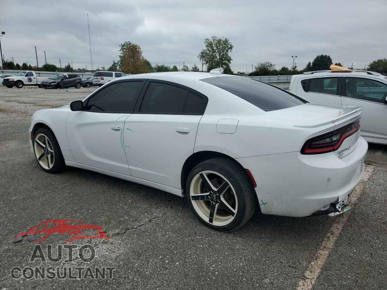 DODGE CHARGER 2019 - 2C3CDXJG9KH616935