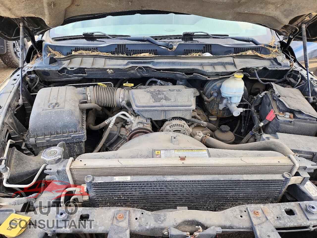 DODGE RAM 1500 2011 - 1D7RV1GP6BS523196