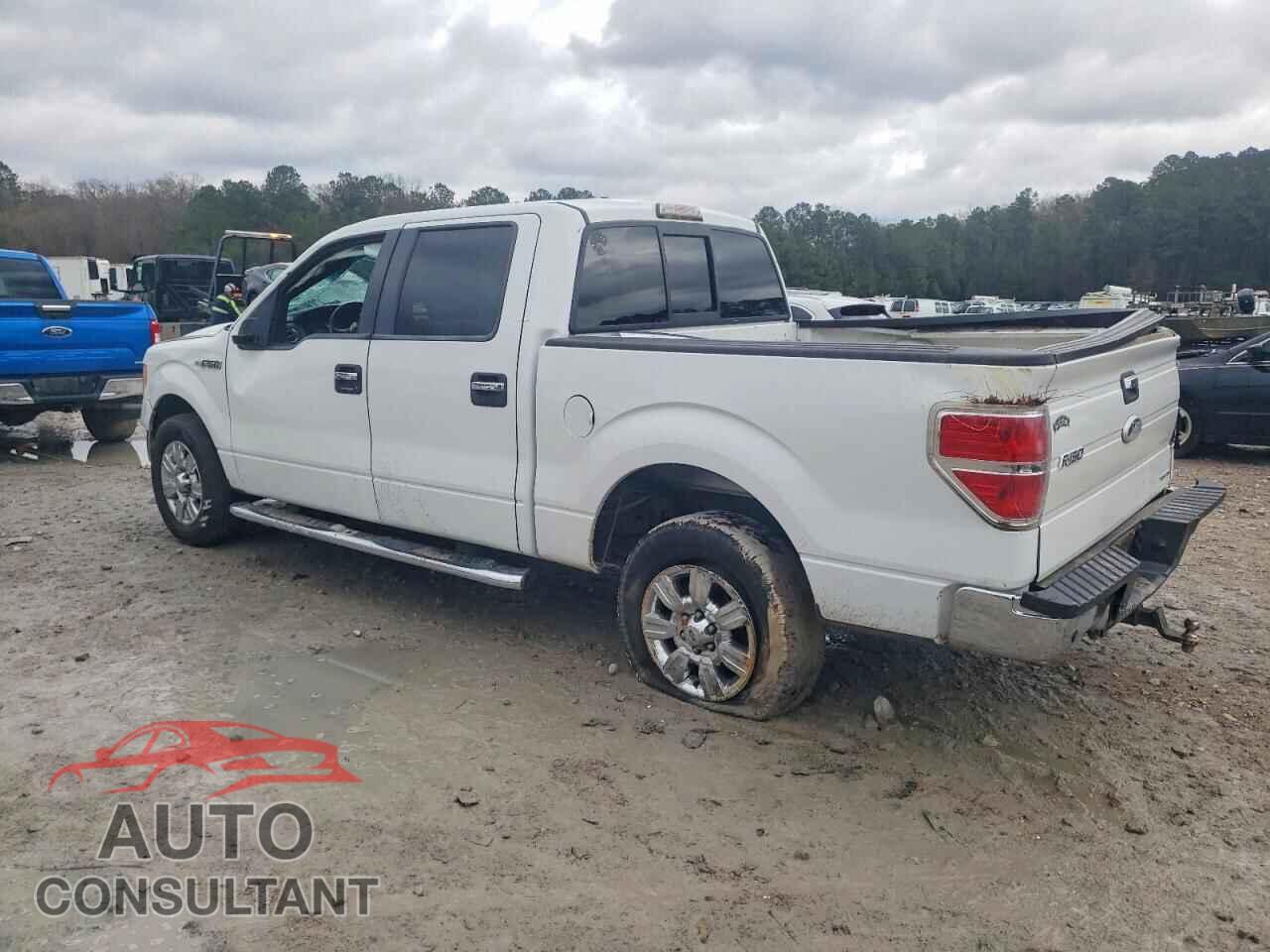FORD F-150 2012 - 1FTFW1CF0CFA92436