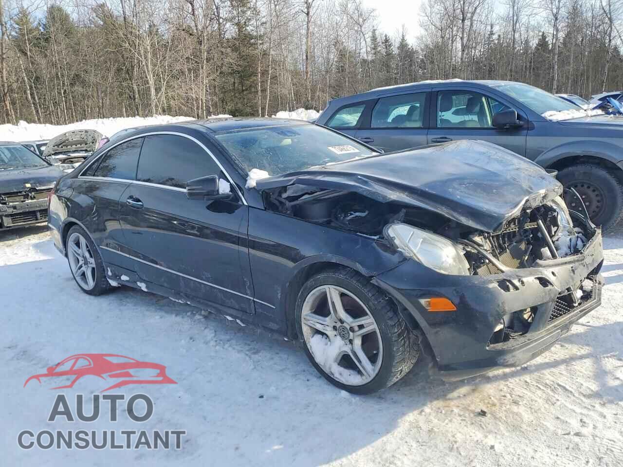 MERCEDES-BENZ E-CLASS 2011 - WDDKJ5GB1BF123841