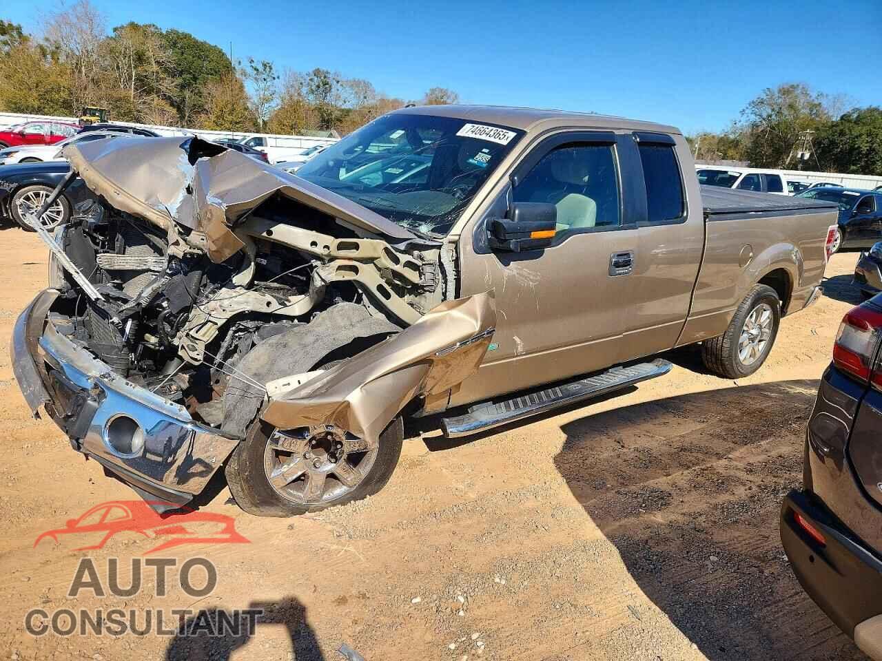 FORD F-150 2013 - 1FTFX1CT5DFD52978