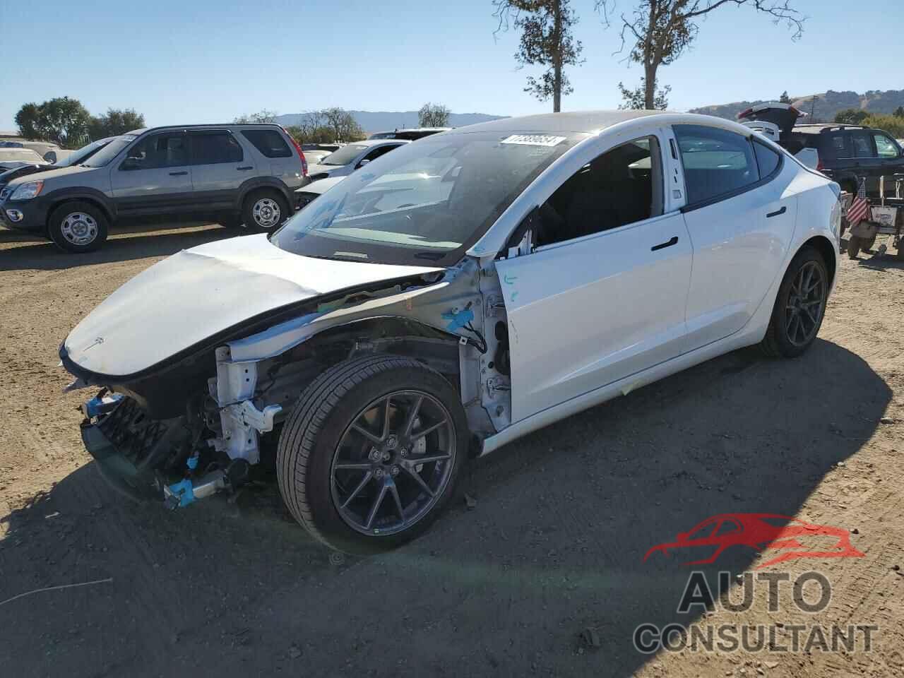 TESLA MODEL 3 2021 - 5YJ3E1EBXMF003137