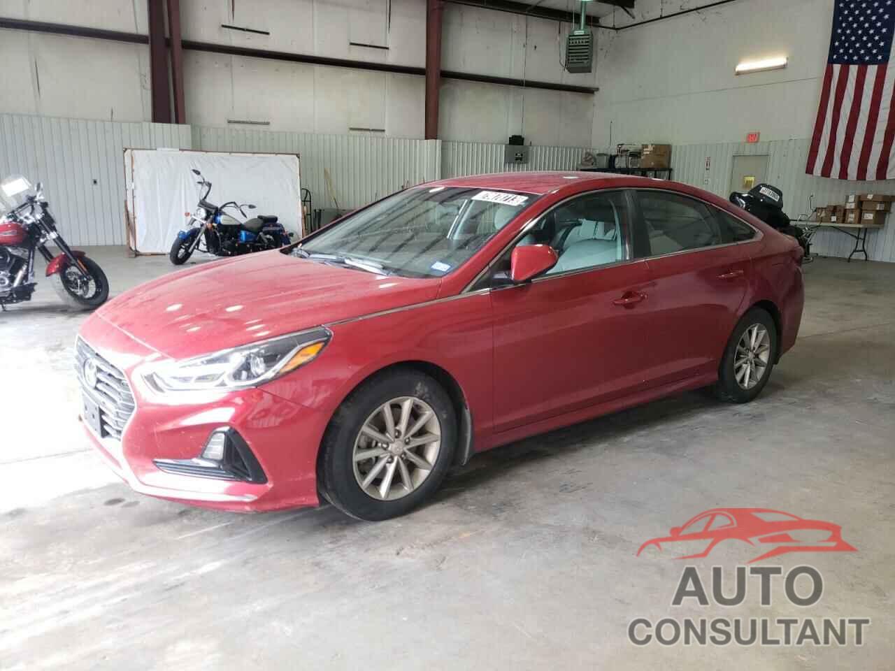 HYUNDAI SONATA 2019 - 5NPE24AF1KH811483