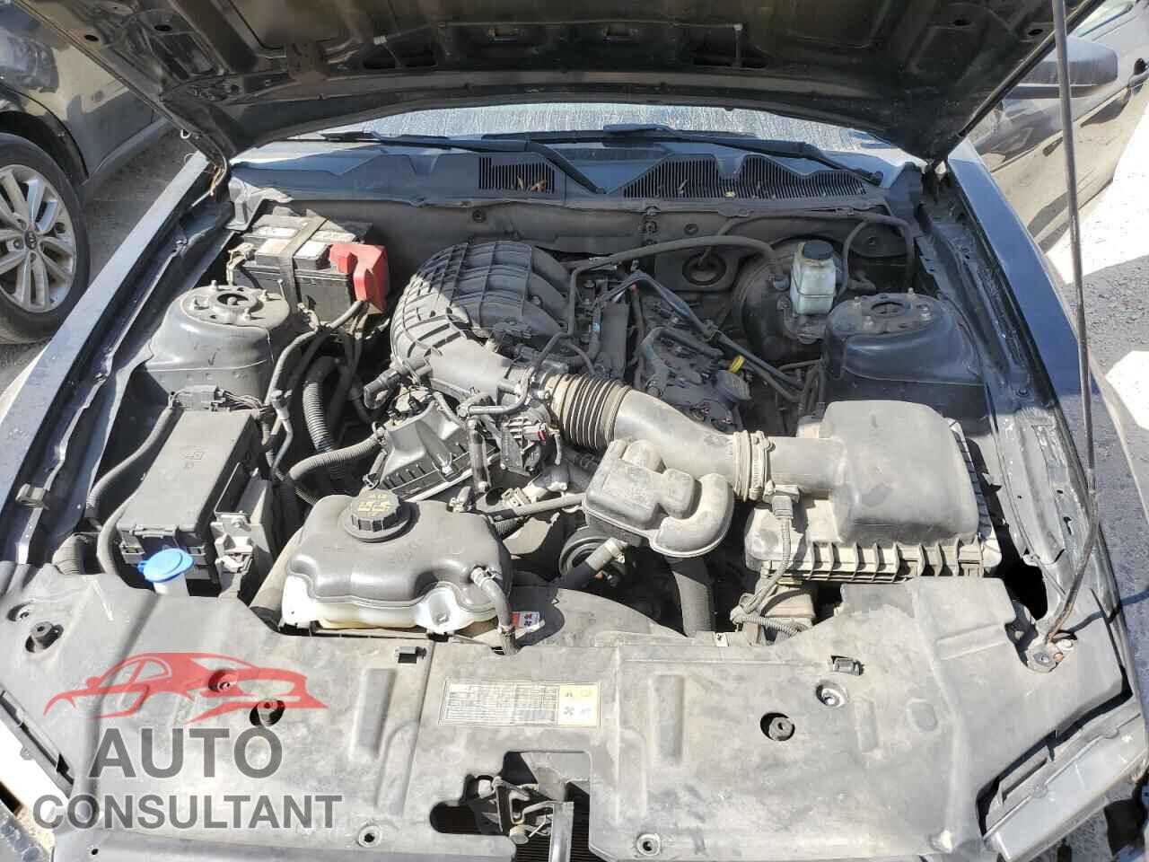 FORD ALL Models 2013 - 1ZVBP8AM7D5280106