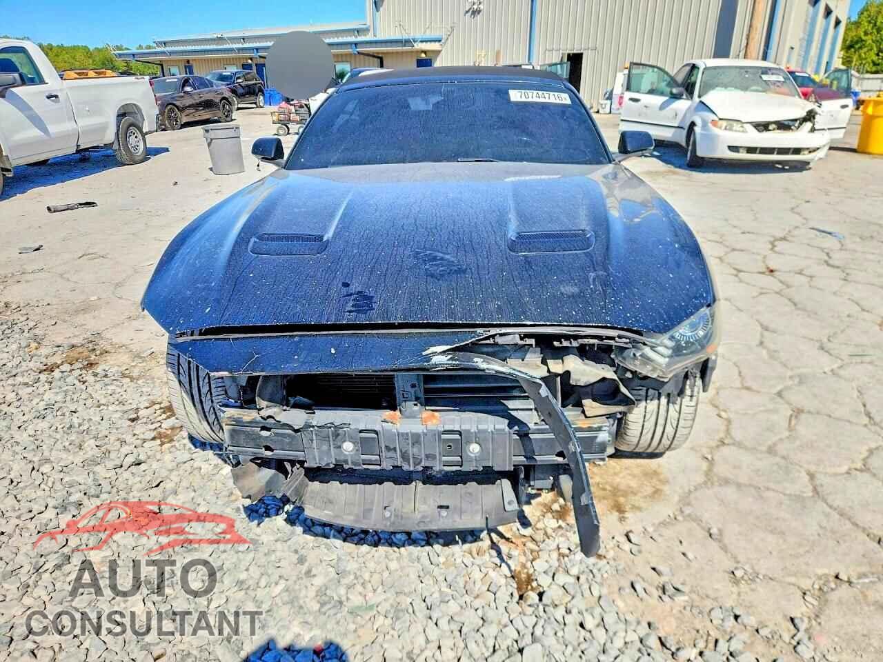 FORD MUSTANG 2019 - 1FATP8UH5K5170129