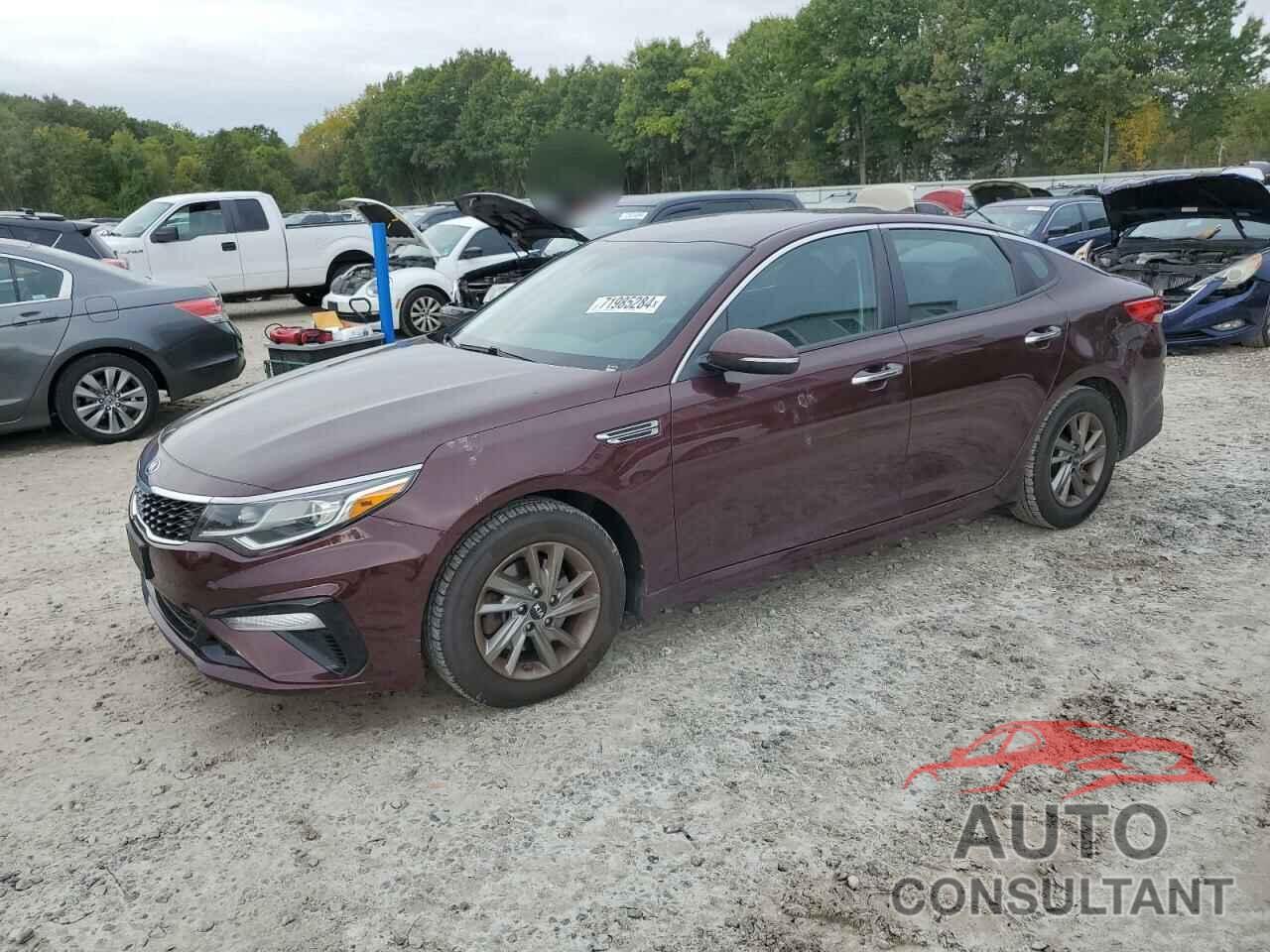 KIA OPTIMA 2019 - 5XXGT4L38KG375106