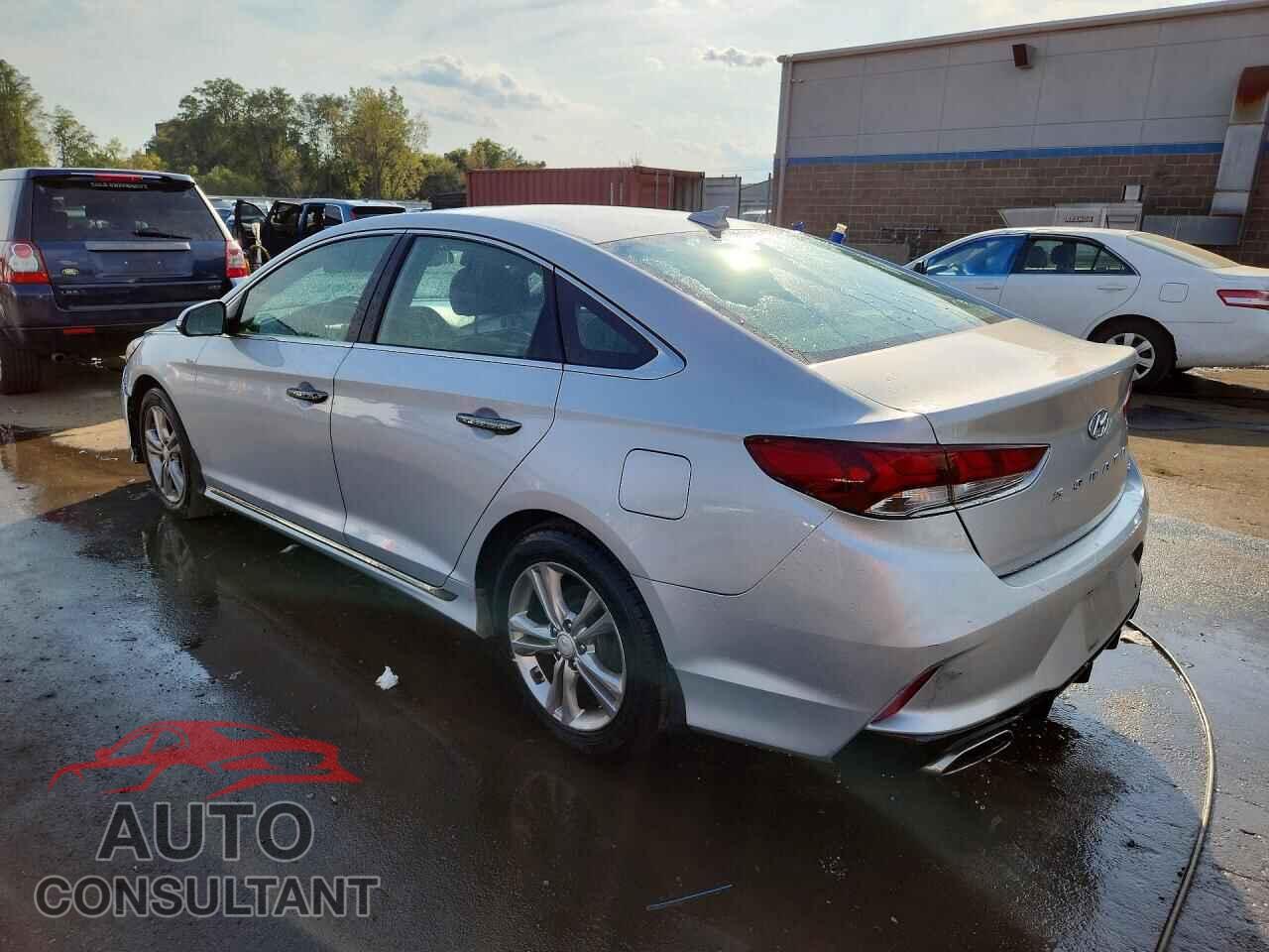 HYUNDAI SONATA 2019 - 5NPE34AF8KH783954