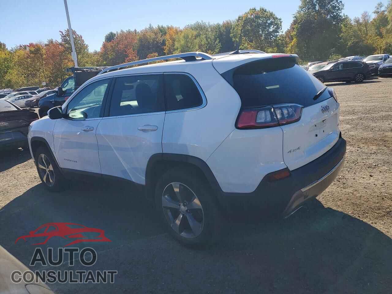 JEEP CHEROKEE 2019 - 1C4PJMDN5KD342077