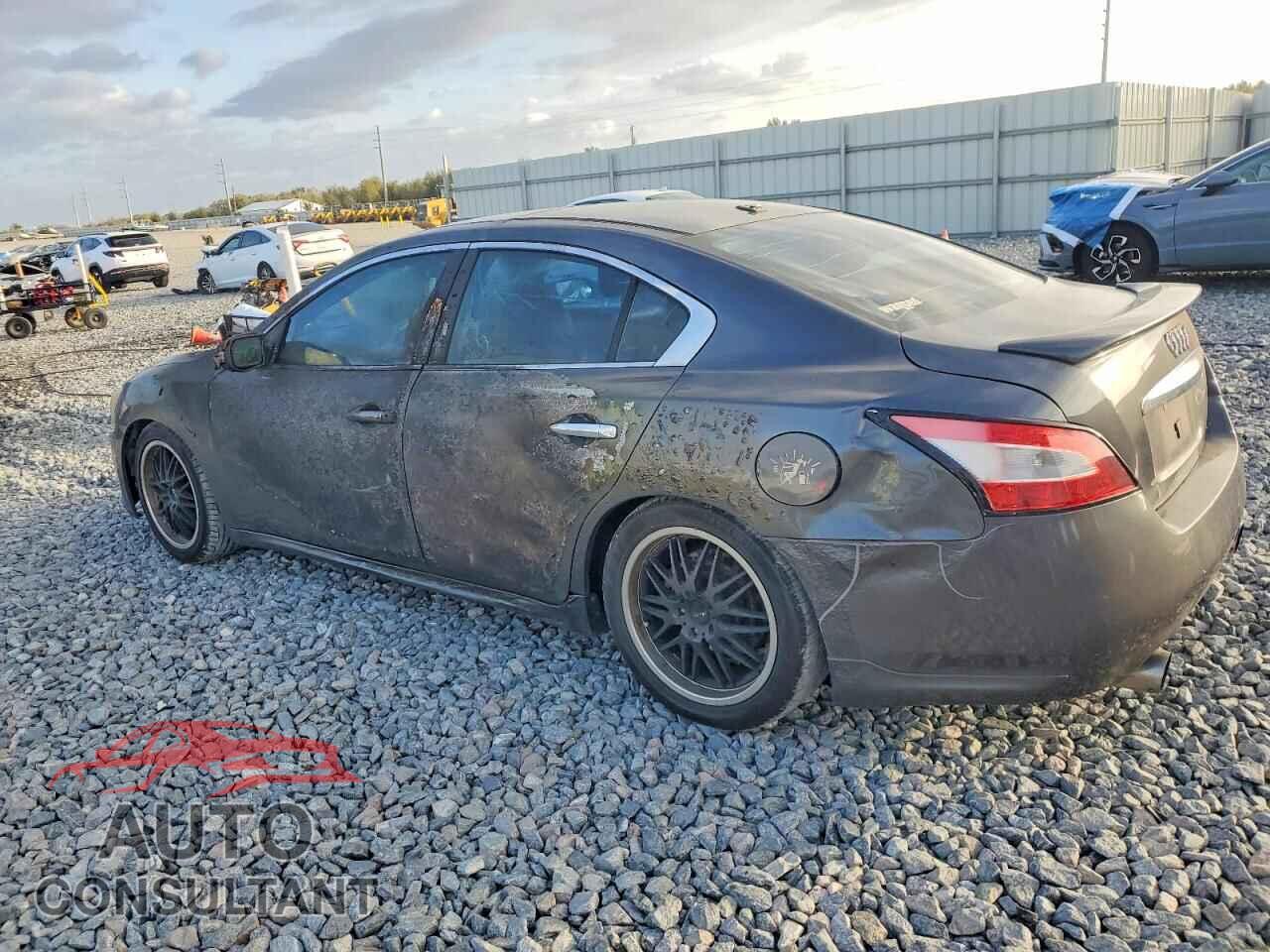 NISSAN MAXIMA 2011 - 1N4AA5AP8BC816178