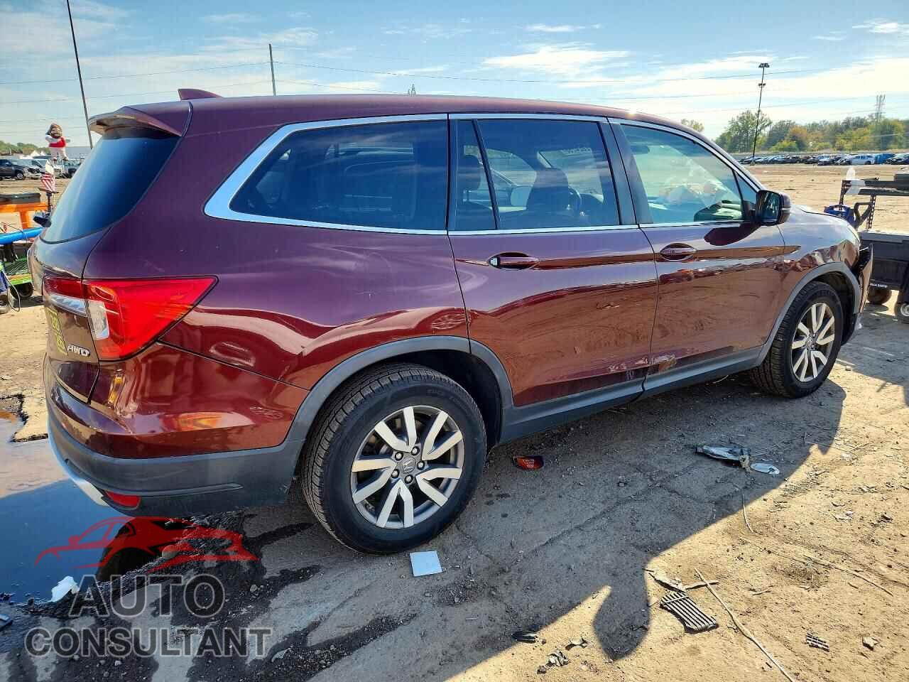 HONDA PILOT 2019 - 5FNYF6H5XKB027294
