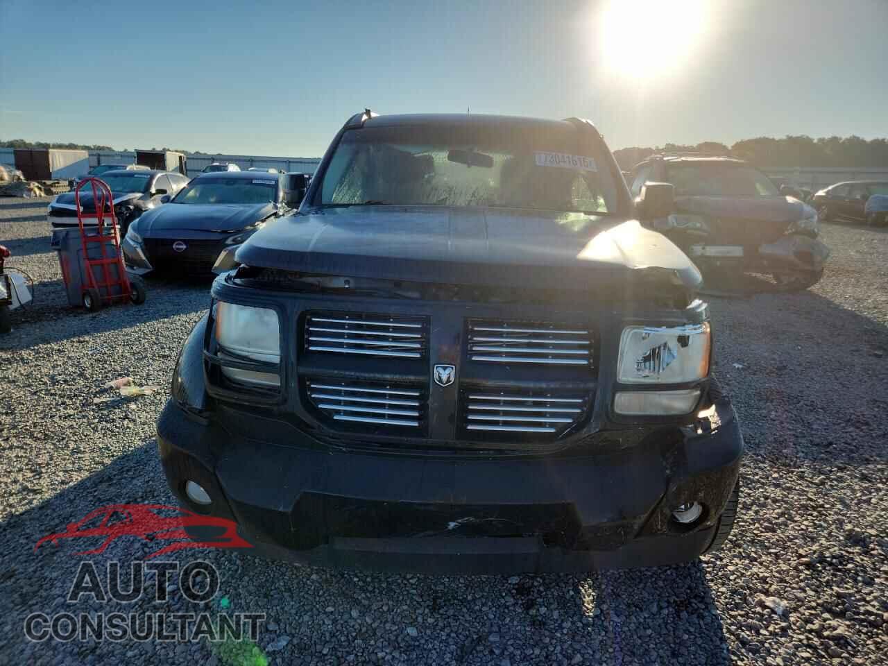 DODGE NITRO 2011 - 1D4PT4GK4BW605226