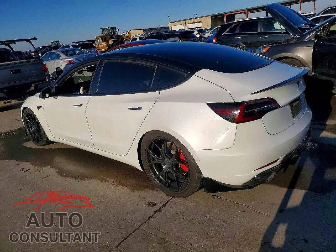 TESLA MODEL 3 2019 - 5YJ3E1EB7KF393725