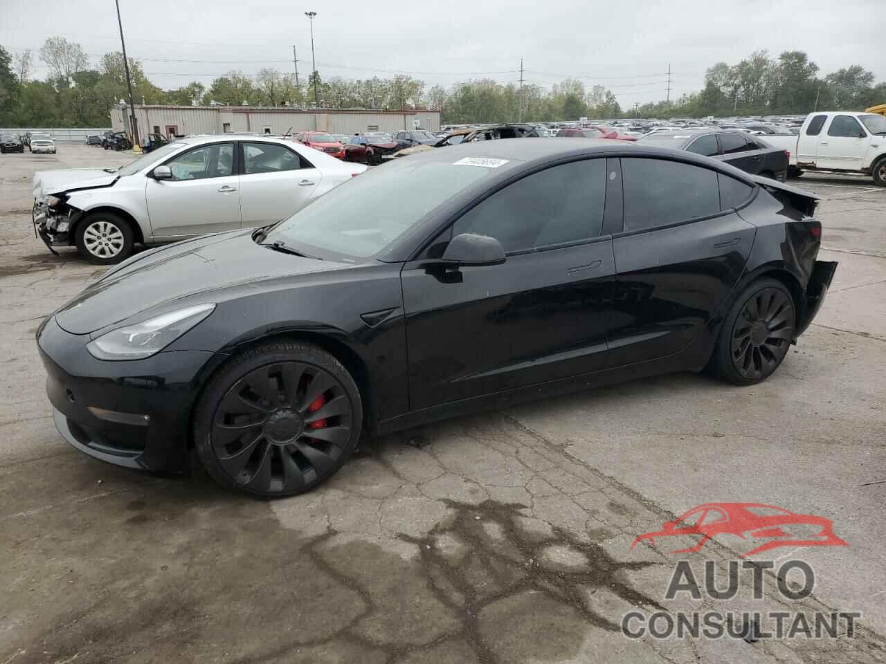 TESLA MODEL 3 2021 - 5YJ3E1EC7MF975545