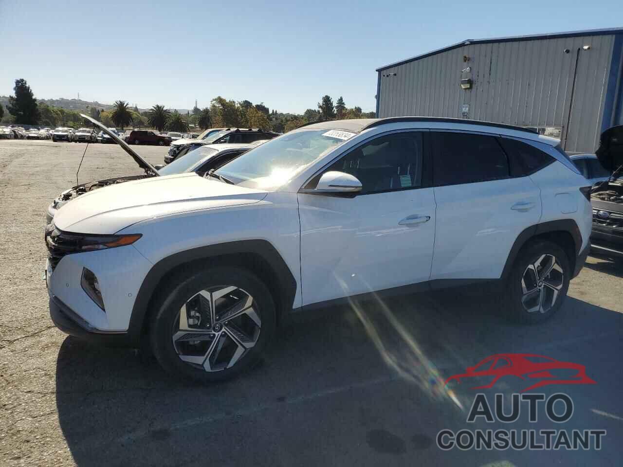 HYUNDAI TUCSON 2023 - KM8JECA1XPU095518