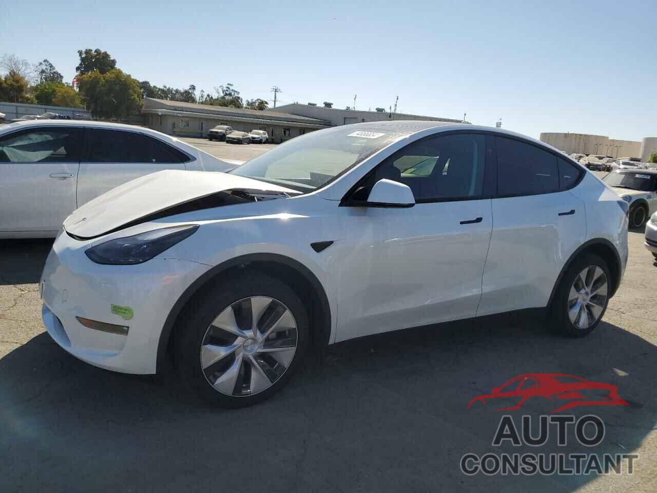 TESLA MODEL Y 2023 - 7SAYGDEE5PF812029