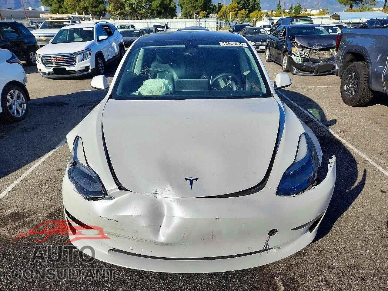 TESLA MODEL 3 2021 - 5YJ3E1EAXMF021385