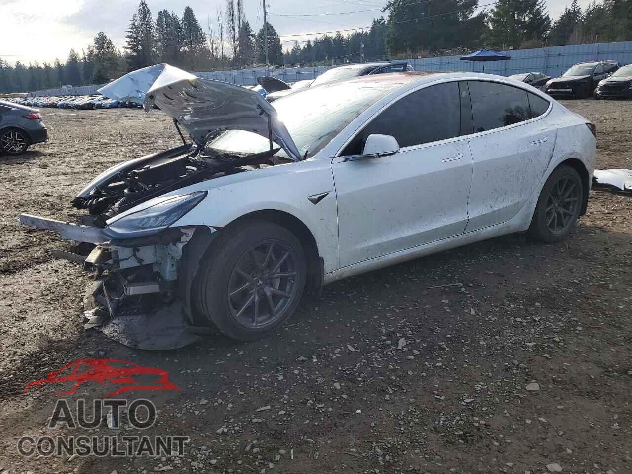 TESLA MODEL 3 2018 - 5YJ3E1EA5JF019765