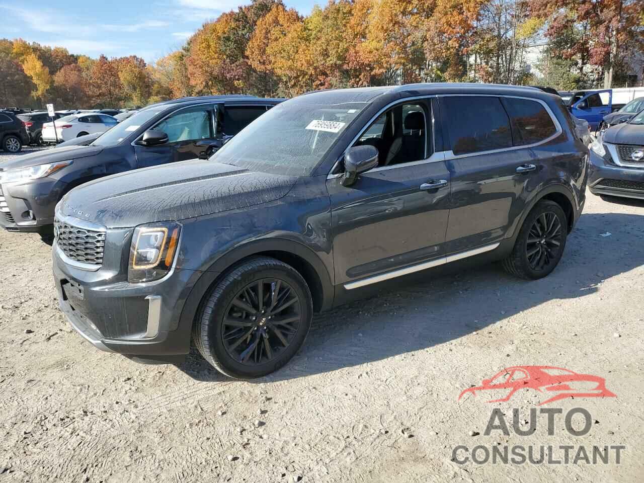 KIA TELLURIDE 2020 - 5XYP5DHC7LG050530