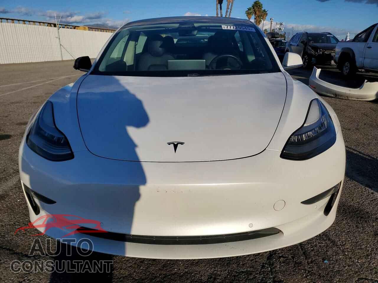 TESLA MODEL 3 2019 - 5YJ3E1EA2KF397155