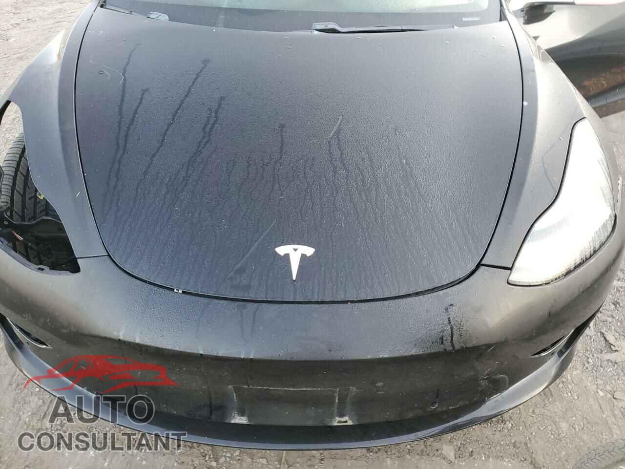 TESLA MODEL 3 2019 - 5YJ3E1EA5KF396064