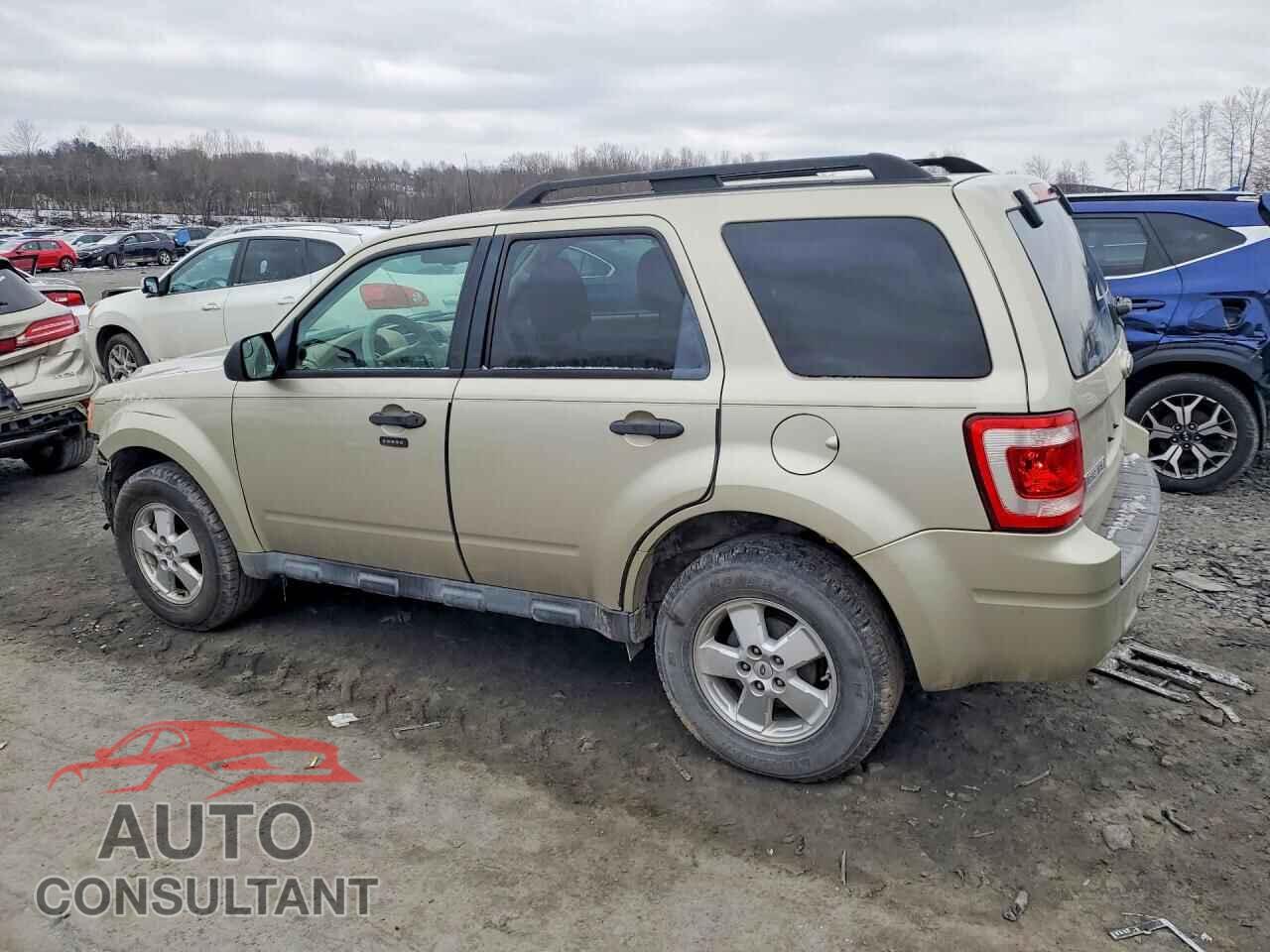 FORD ESCAPE 2011 - 1FMCU0D75BKA25035