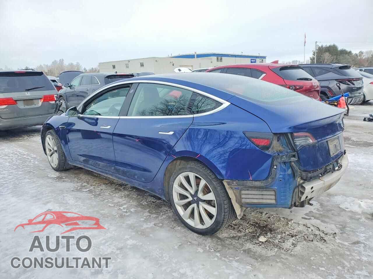 TESLA MODEL 3 2019 - 5YJ3E1EA8KF428702