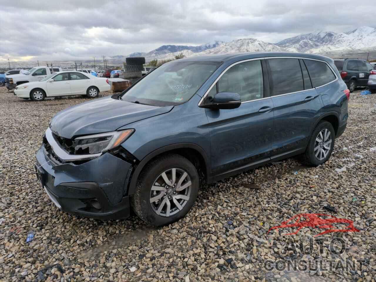 HONDA PILOT 2019 - 5FNYF6H50KB025831