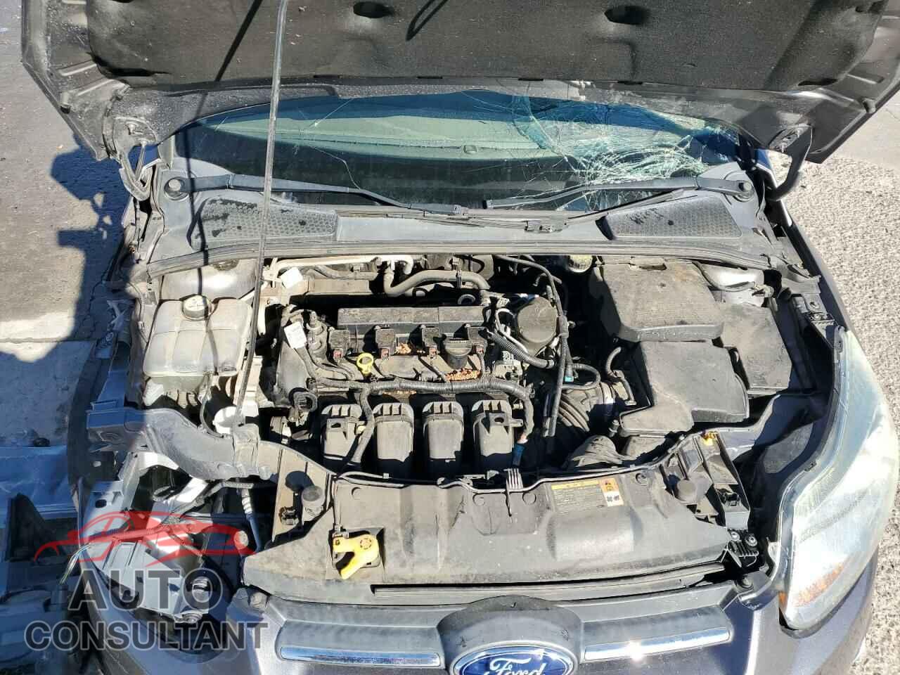 FORD FOCUS 2014 - 1FADP3F2XEL224864