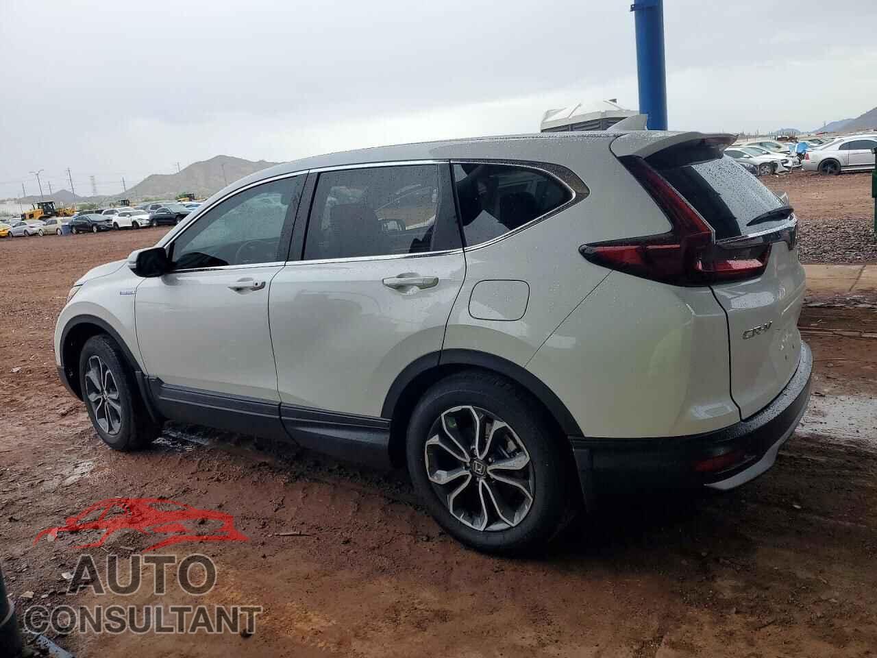 HONDA CRV 2022 - 5J6RT6H81NL002657