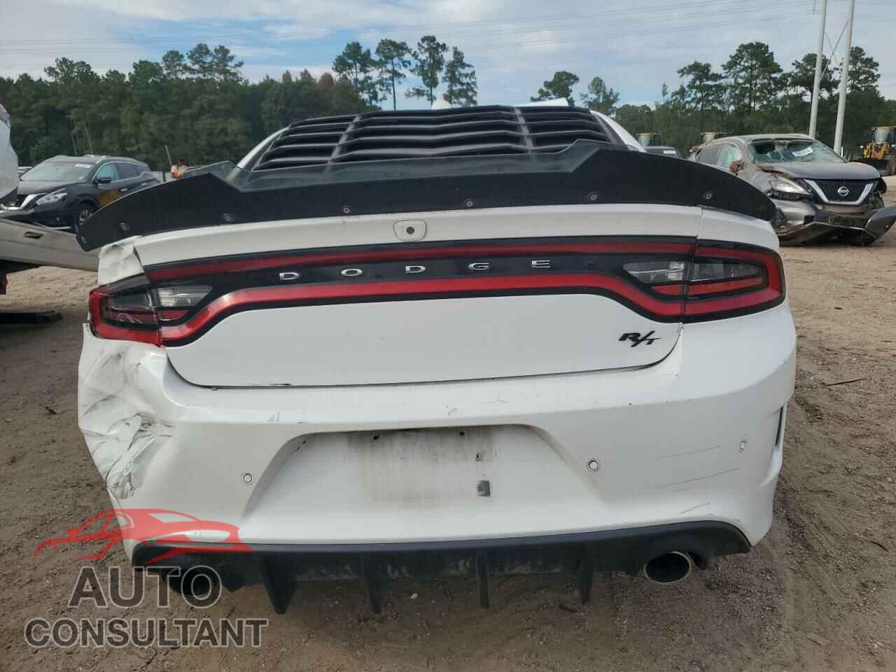 DODGE CHARGER 2019 - 2C3CDXCTXKH675745