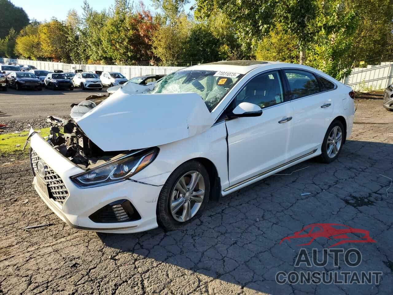 HYUNDAI SONATA 2019 - 5NPE34AF8KH792587