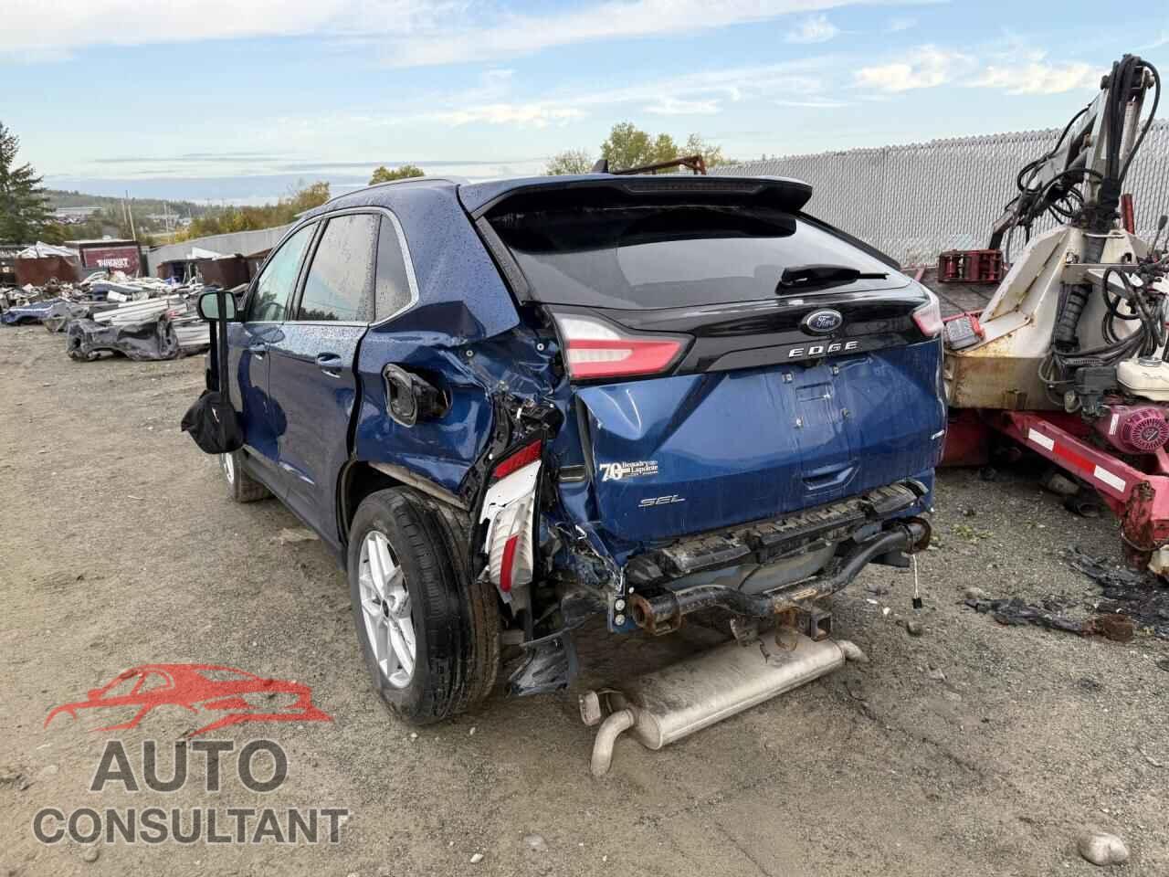 FORD EDGE 2024 - 2FMPK4J90RBA40633