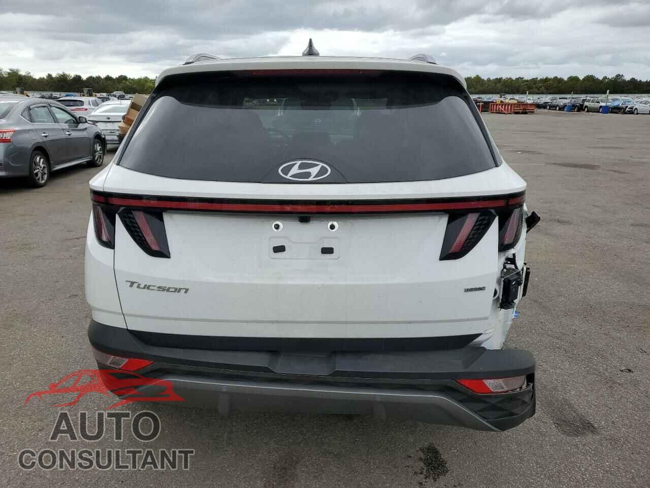 HYUNDAI TUCSON 2024 - 5NMJECDE4RH395102