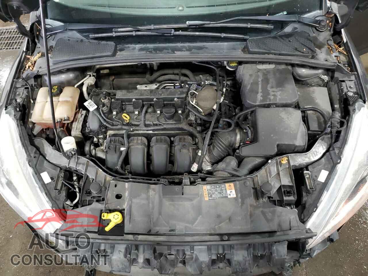 FORD FOCUS 2015 - 1FADP3F29FL334435