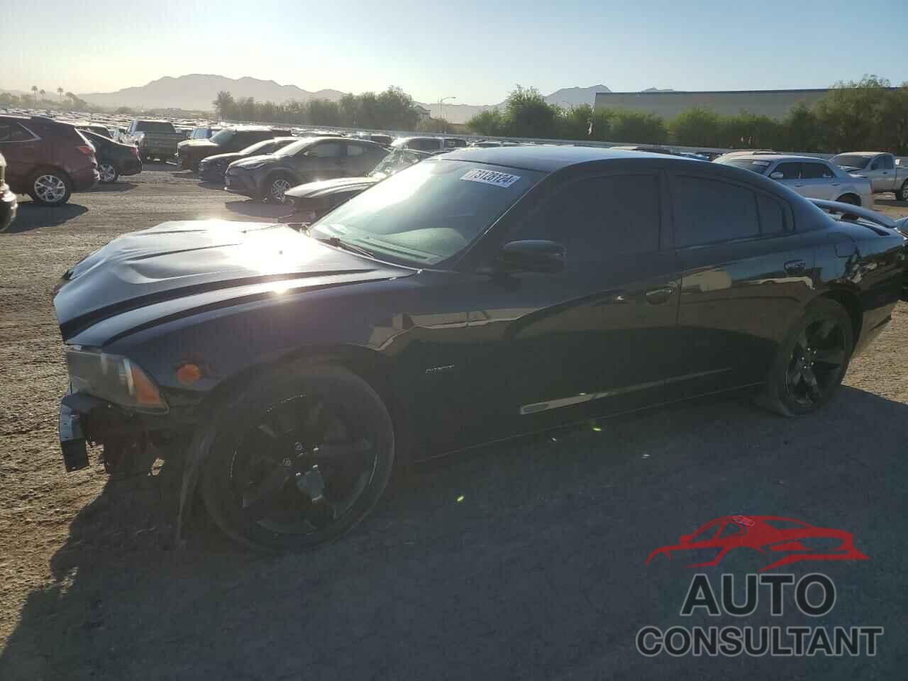DODGE CHARGER 2014 - 2C3CDXCT2EH232316