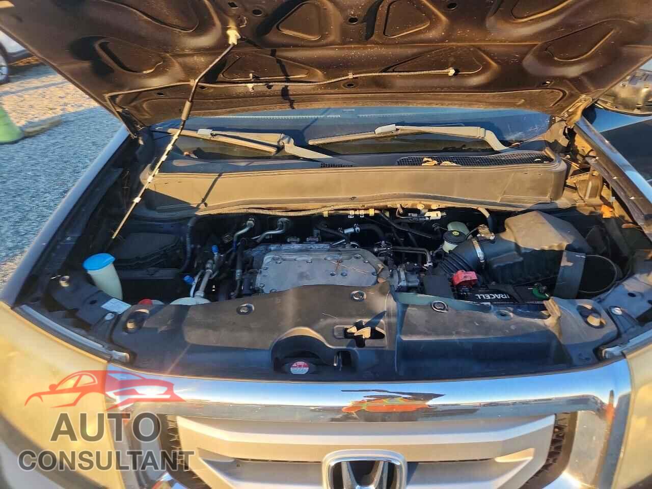 HONDA PILOT 2011 - 5FNYF3H55BB007288