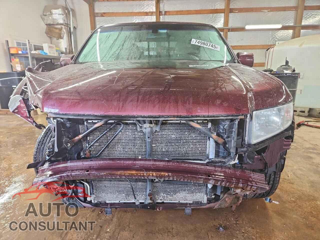 HONDA RIDGELINE 2009 - 5FPYK16509B101986