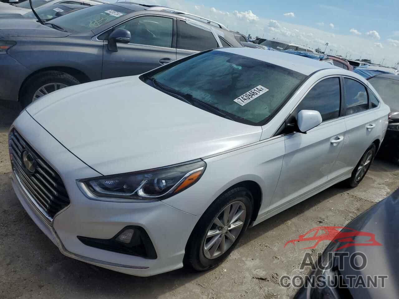 HYUNDAI SONATA 2019 - 5NPE24AF3KH766322