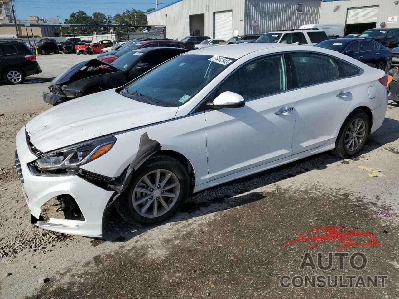 HYUNDAI SONATA 2019 - 5NPE34AF1KH790292